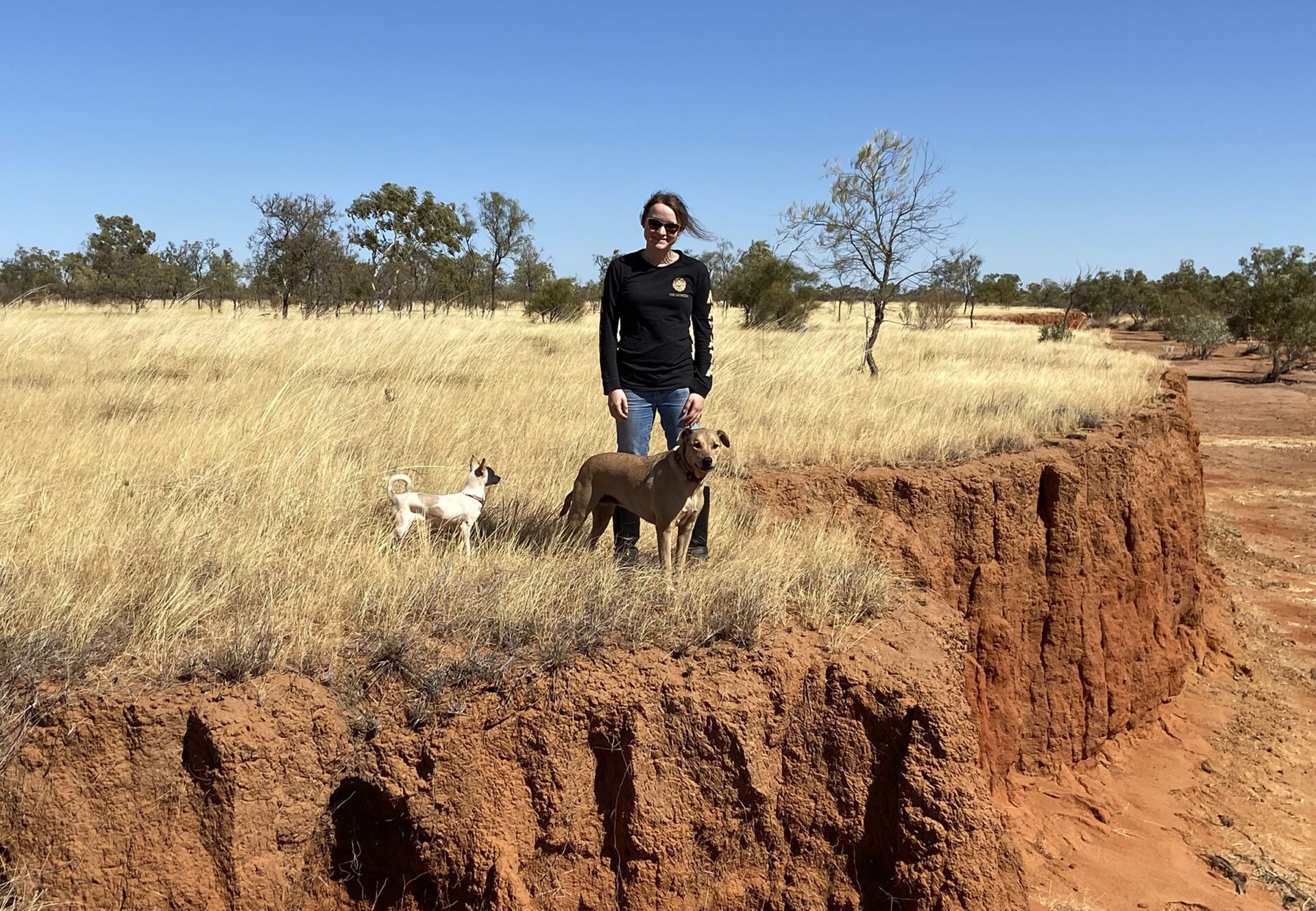Person standing on a hill with two dogs at their feet.