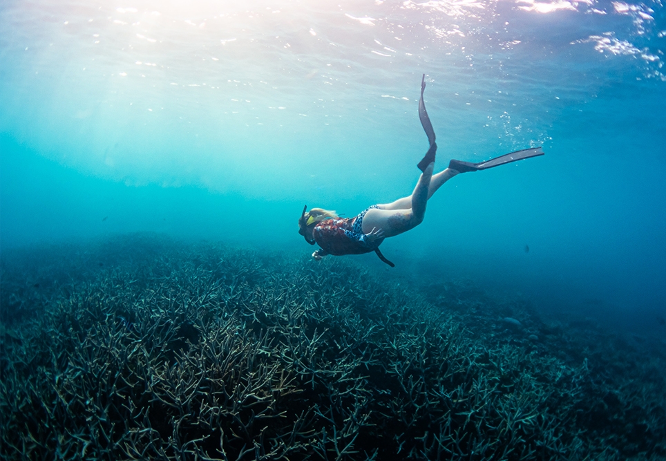 Laura taking some time out, diving in the Southern Great Barrier Reef off Wilson Island.